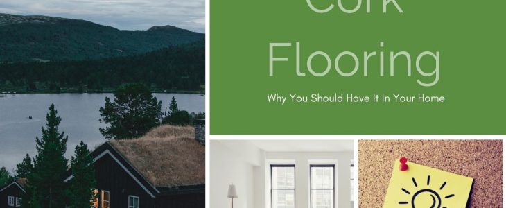 Cork Flooring: Why You Should Have It In Your Home
